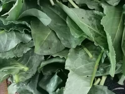 Žiemai paruoštas rūgštynas Žingsnis 1