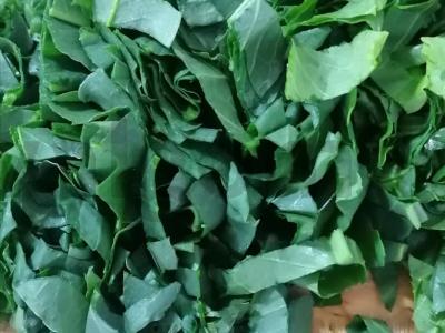 Žiemai paruoštas rūgštynas Žingsnis 2