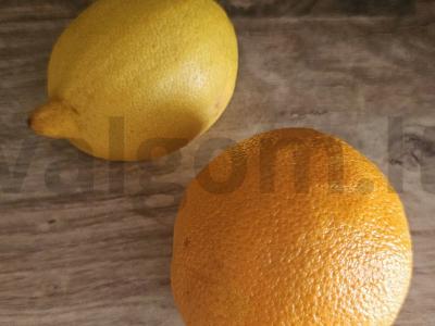 Citrinų-apelsinų trintas pyragas Žingsnis 4