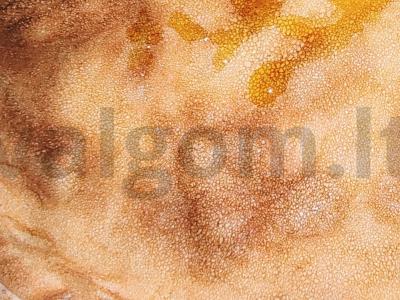 Ploni blynai su kiaušiniais Žingsnis 6