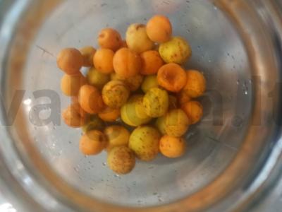 Abrikosų-apelsinų kompotas Žingsnis 1