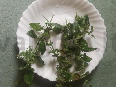 Abrikosų-apelsinų kompotas Žingsnis 3