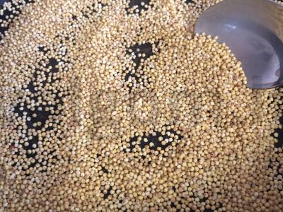 Kazachų arbata Žingsnis 1