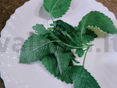 Vitamininis arbata su melisa ir gvazdikėliais Žingsnis 2