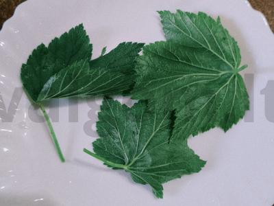 Vitamininis arbata su melisa ir gvazdikėliais Žingsnis 3