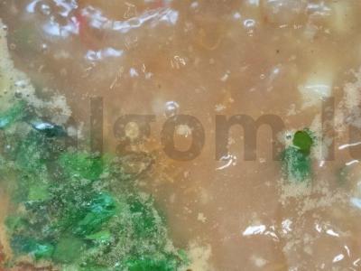 Harcho namuose su kiauliena Žingsnis 8