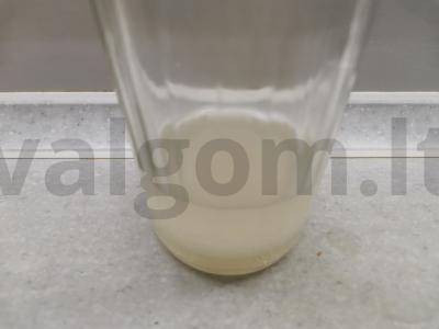 Rulonai su midijomis, agurku ir lydytu sūriu Žingsnis 3