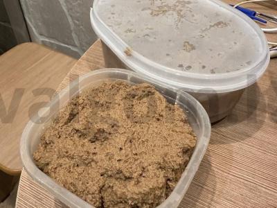 Kiaulienos kepenėlių paštetas pusryčiams Žingsnis 7