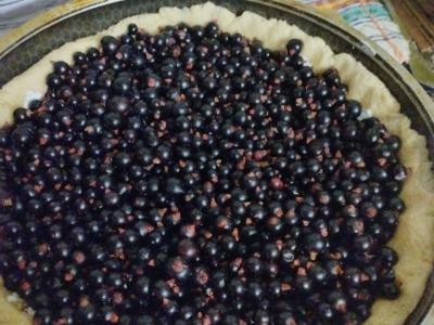 Gervuogių pyragas Žingsnis 7