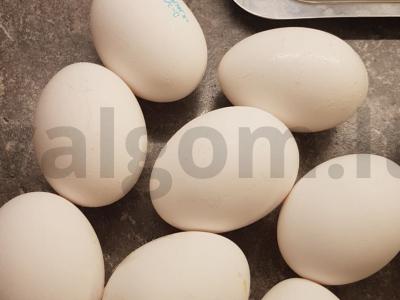 Kiaušinienė su dešrele pusryčiams Žingsnis 1