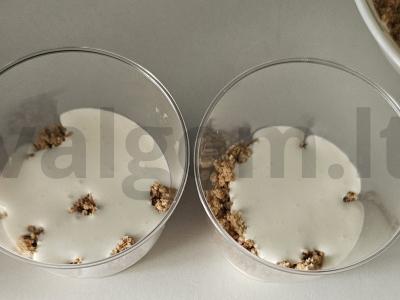 Desertas su aviečių uogiene Žingsnis 3