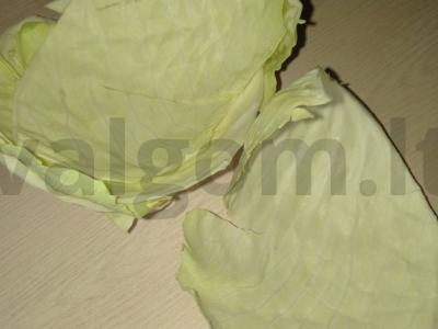 Vladimiro kopūstai ant daržovių pagalvėlės Žingsnis 1