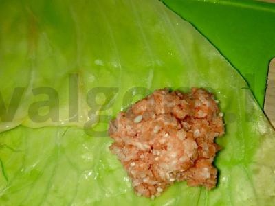 Vladimiro kopūstai ant daržovių pagalvėlės Žingsnis 9