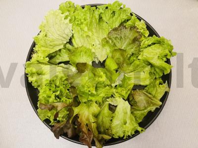 Salotos su tunu, daržovėmis ir kiaušiniais Žingsnis 1