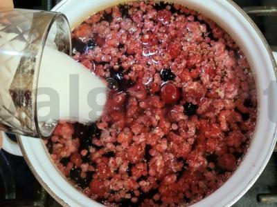 Nuostabus kompotas su šermukšniu, avietėmis ir juodosiomis serbentėmis Žingsnis 3