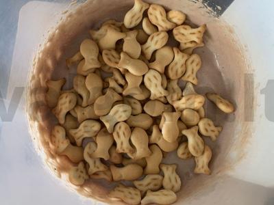 Sūrio tortas iš krekerių Žingsnis 2