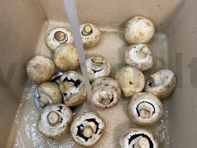 Grietinėlės pievagrybiai Žingsnis 1