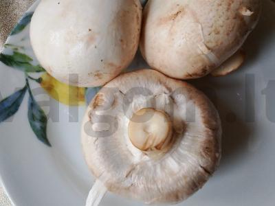 Omletas su pievagrybiais, sūriu ir pomidorais Žingsnis 1