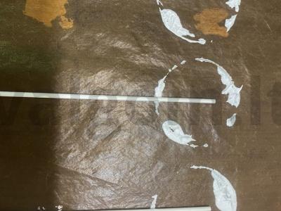 Beze ant pagaliuko su oro ryžiais Žingsnis 11