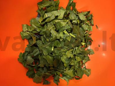 Kalakutienos krūtinėlės filė su baziliku ir špinatais Žingsnis 4