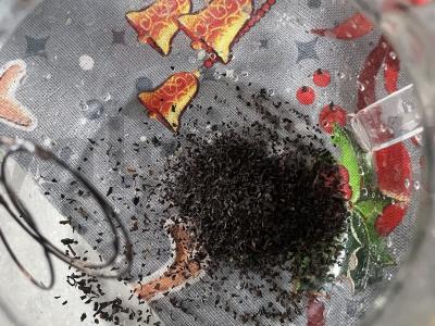 Arbata „Vaisių skonis“ Žingsnis 1