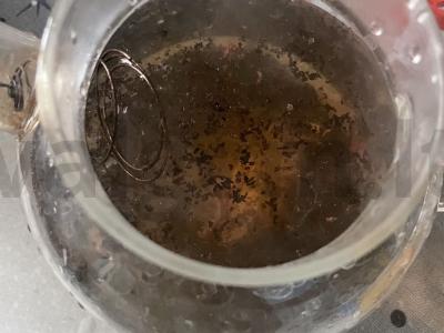 Arbata „Vaisių skonis“ Žingsnis 4