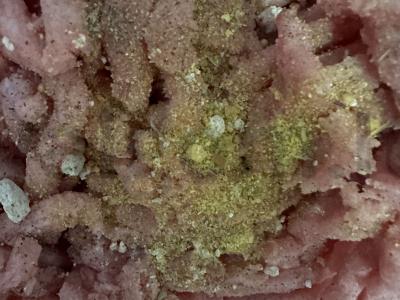 Makaronai su mėsa Žingsnis 1