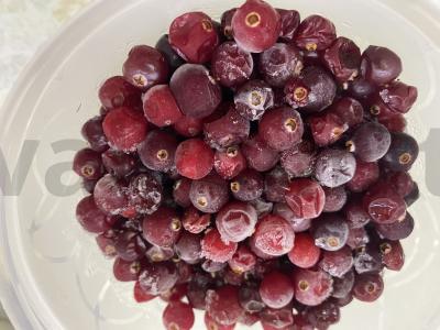 Spanguolių gėrimas „Geriausias rudens gėrimas nuo peršalimo“ Žingsnis 2