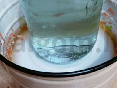 Žieminė kopūstų salota per 1 dieną Žingsnis 7