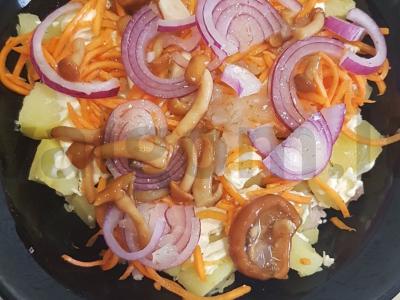 Salotos su vištiena, raudonuoju svogūnu ir marinuotais grybais pagrindine nuotrauka