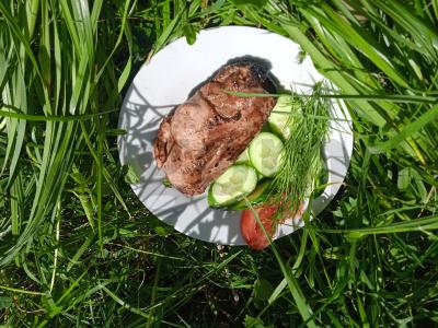 Anties krūtinėlė, marinuota sojų padaže su apelsinais ant grilio pagrindine nuotrauka