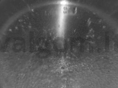 Kompotas „Ugnies paukštis – saldi vanduo“ Žingsnis 1