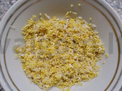 Košė ryte Žingsnis 2