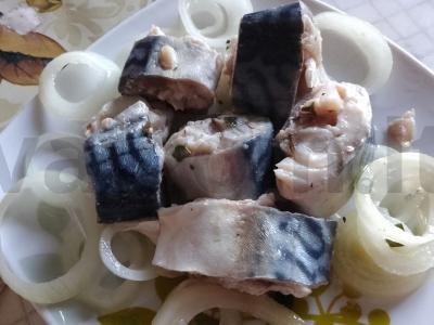 Skumbrė „Dužė“ pagrindine nuotrauka