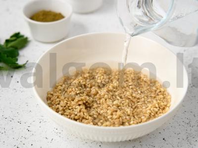 Dvasolnikas Žingsnis 1