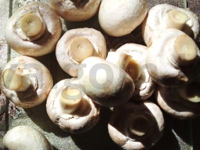 Makaronai grietinėlės padaže Žingsnis 1