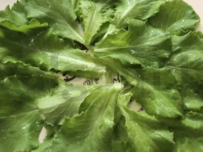 Salotos su tofu ir žolelėmis Žingsnis 2