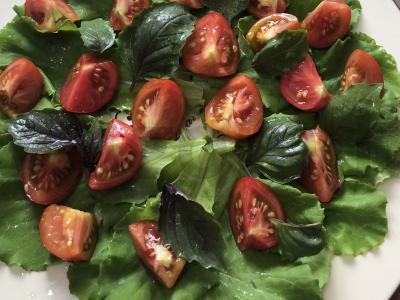 Salotos su tofu ir žolelėmis Žingsnis 4