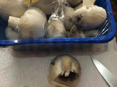 Blynai su grybais ir rikota Žingsnis 1