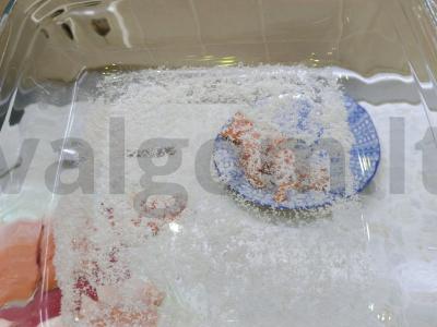 Šviežiai sūdyta upėtakis Žingsnis 5