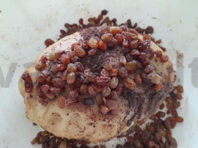 Velykinis pyragas su razinomis ir citrinos žievelėmis Žingsnis 13