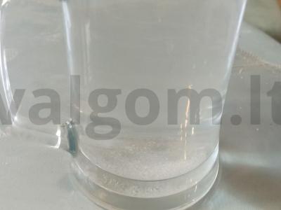 Sūdyti agurkai „Mokykliniai“ Žingsnis 5