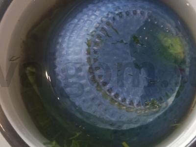 Sūdyti agurkai „Mokykliniai“ Žingsnis 6