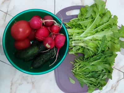 Salotas „Vitamininis“ su rukola ir ridikėliais Žingsnis 1