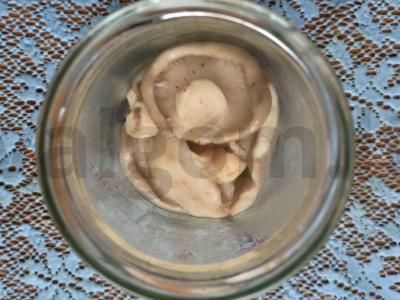 Marinuoti grybai su karštu actu Žingsnis 3