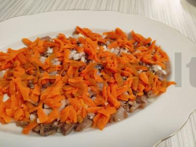 Klasikinis „Silkė po kailiu“ salotas Žingsnis 4