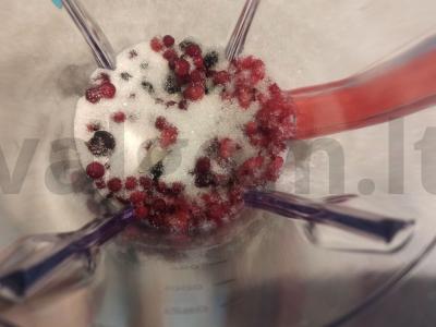 Uogų gėrimas su juodaisiais serbentais, avietėmis ir spanguolėmis Žingsnis 1