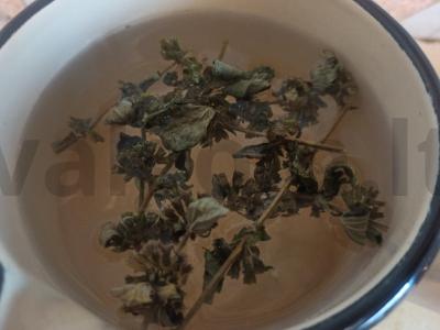 Namų kvasas su mėtomis ir obuolių sultimis Žingsnis 1