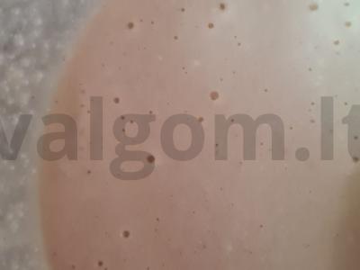 Be glitimo blynai Žingsnis 1