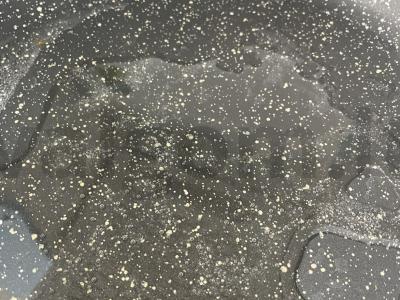 Namų kotletai „Bomba“ Žingsnis 6